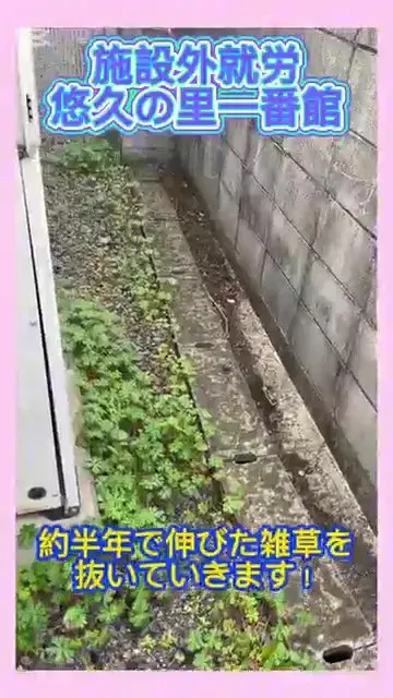 ぽぽらすのYouTubeサムネイル画像